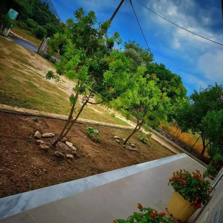Calma Studios Parga Esterno foto